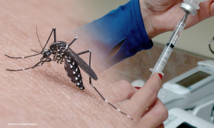 vaccination dengue