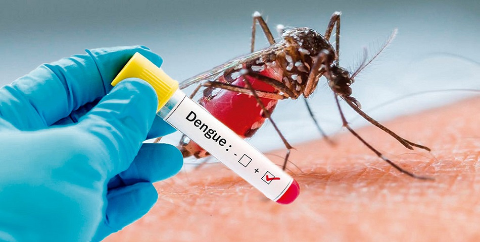 dengue france